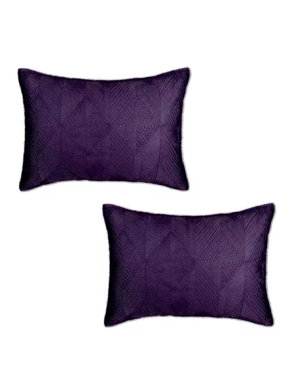 2 new Regal PURPLE Wamsutta Bliss 20 x 36 inches KING Pillow Shams